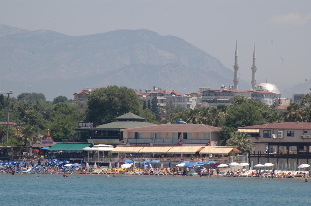 Sunprime Dogan - Adult Only Side